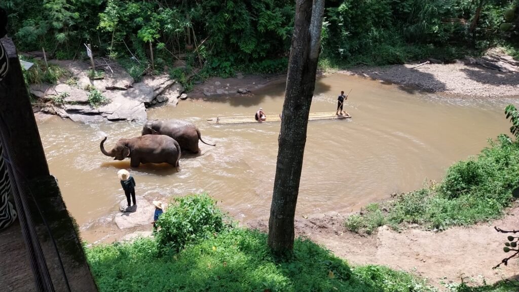 itineraire-thailande-3-semaines-chiang-mai-tawan-riverside
