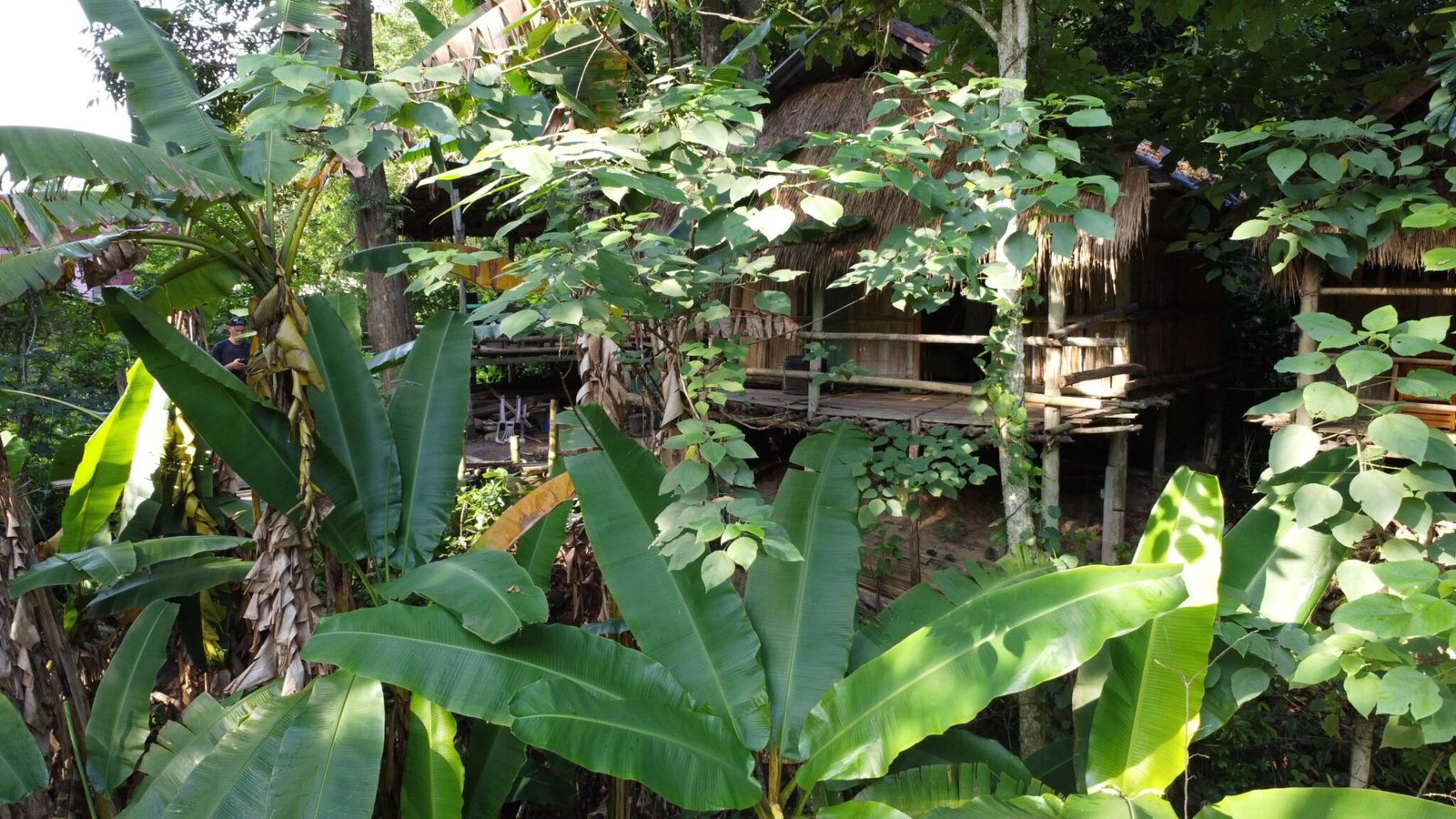 itineraire-thailande-3-semaines-chiang-rai-cabane-jungle