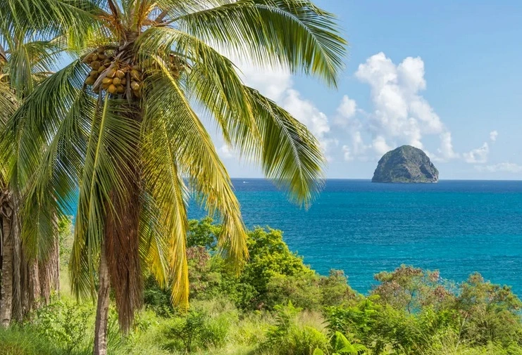 où-partir-en-voyage-Martinique