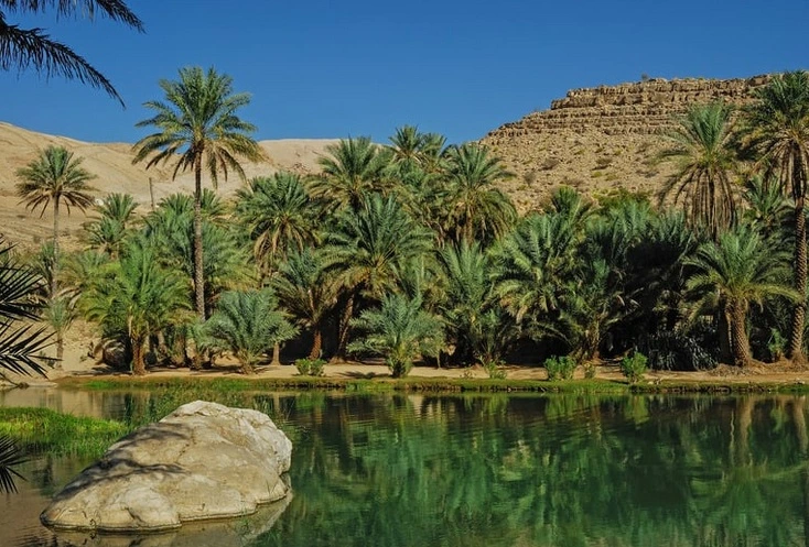 où-partir-en-voyage-Oman