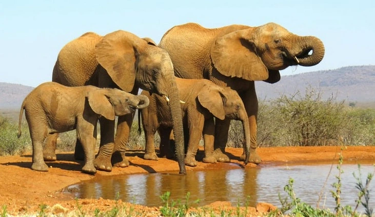 où-partir-en-voyage-afrique-du-sud
