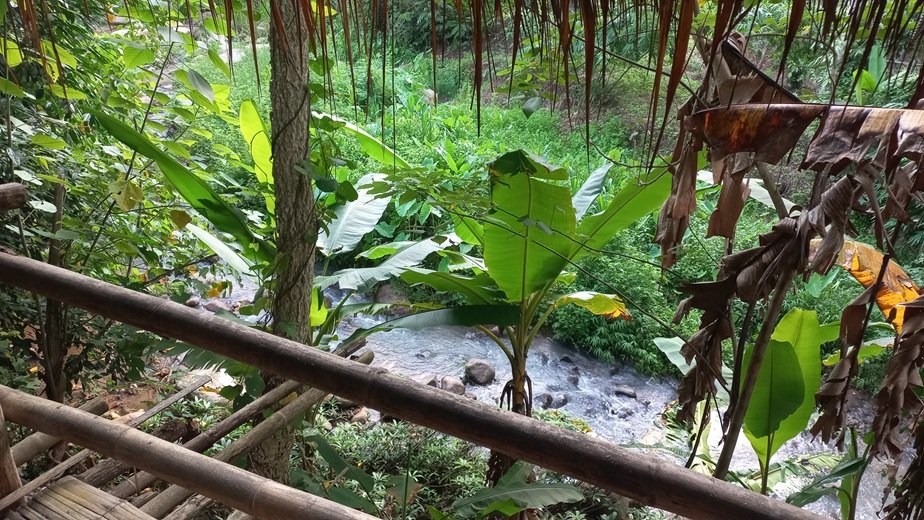 thailande-cabane-jungle-chiang-rai