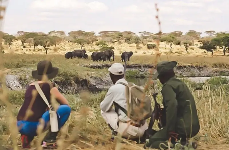 visiter-la-tanzanie-à-pied