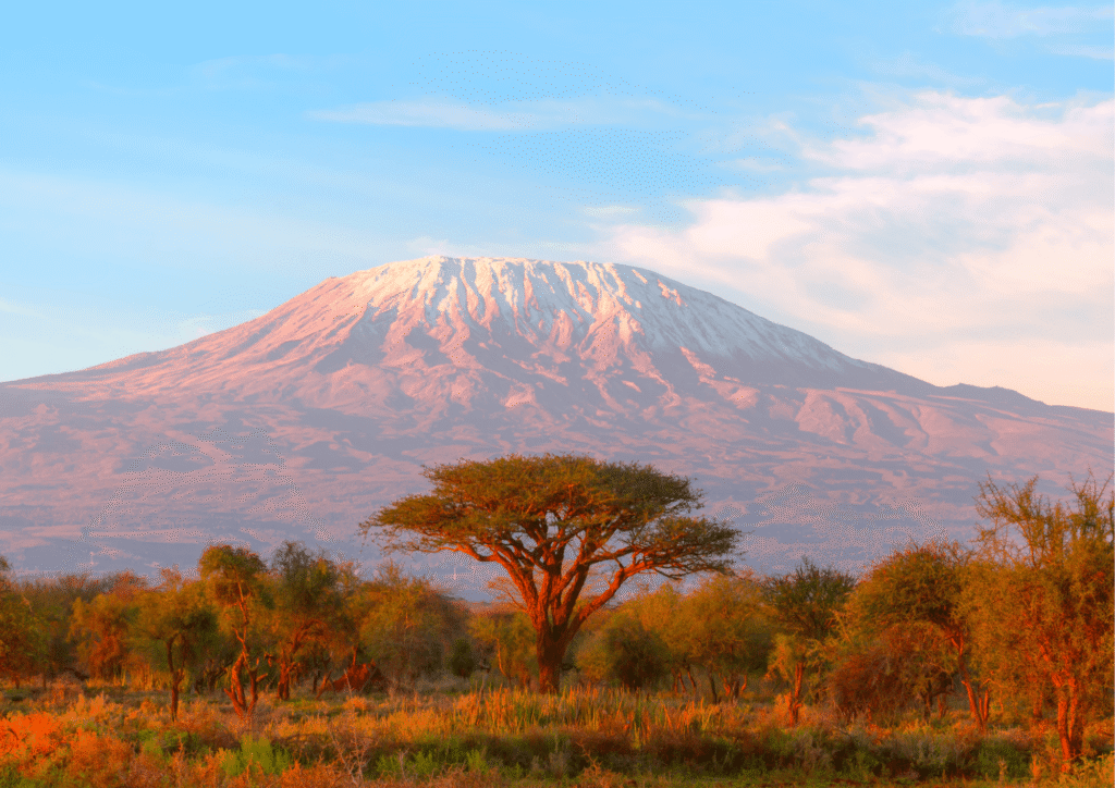 visiter-la-tanzanie-kilimandjaro