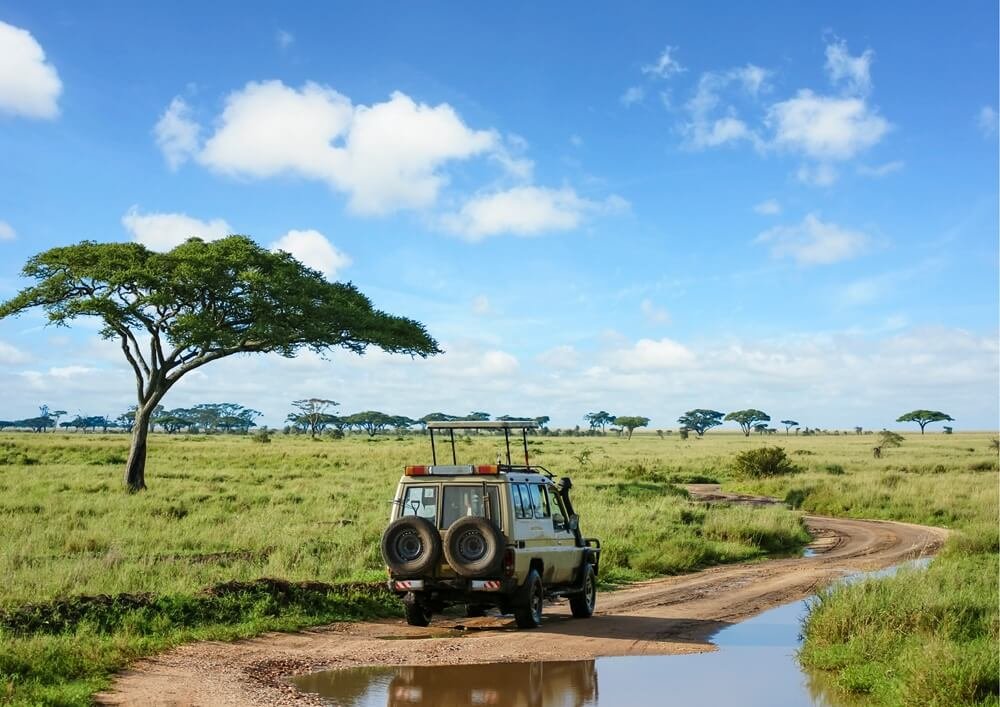 visiter-la-tanzanie-piste-safari